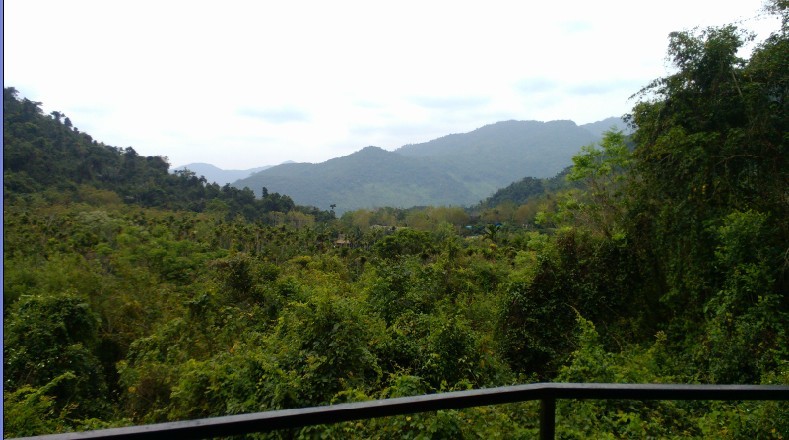 北京中科惠澤糖生物工程技術(shù)有限公司